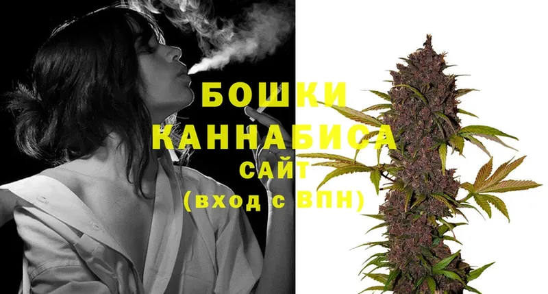 Каннабис OG Kush  Алагир 